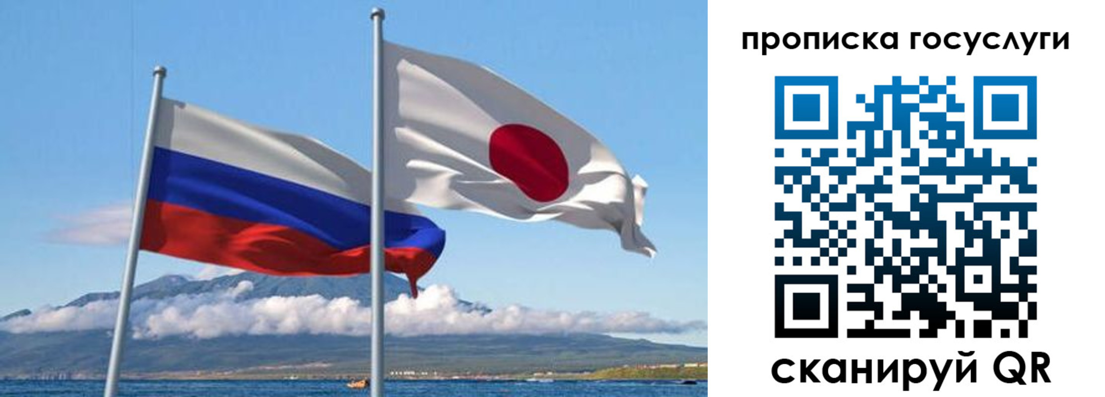 прописка для школы в Курске