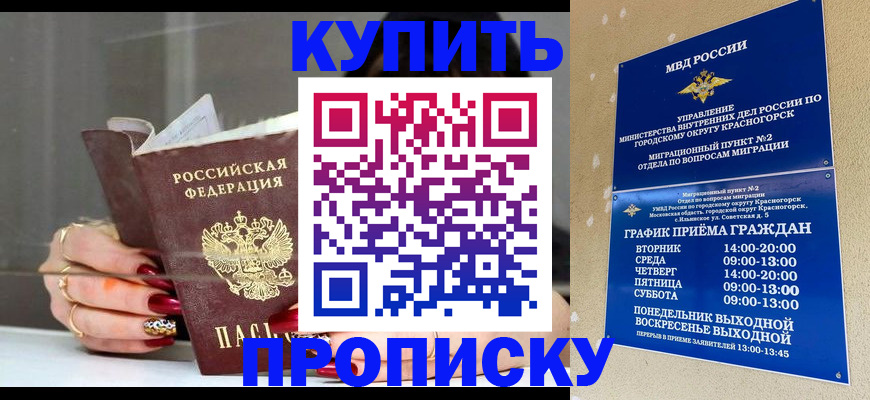 прописка для школы в Курске